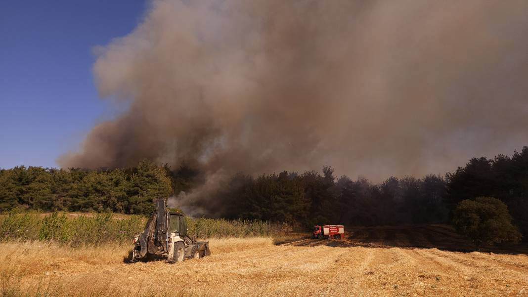 Çanakkale'deki Tarihi Alan'ın güney hattı ziyarete açıldı! Orman yangınında kapatılmıştı - Resim: 24